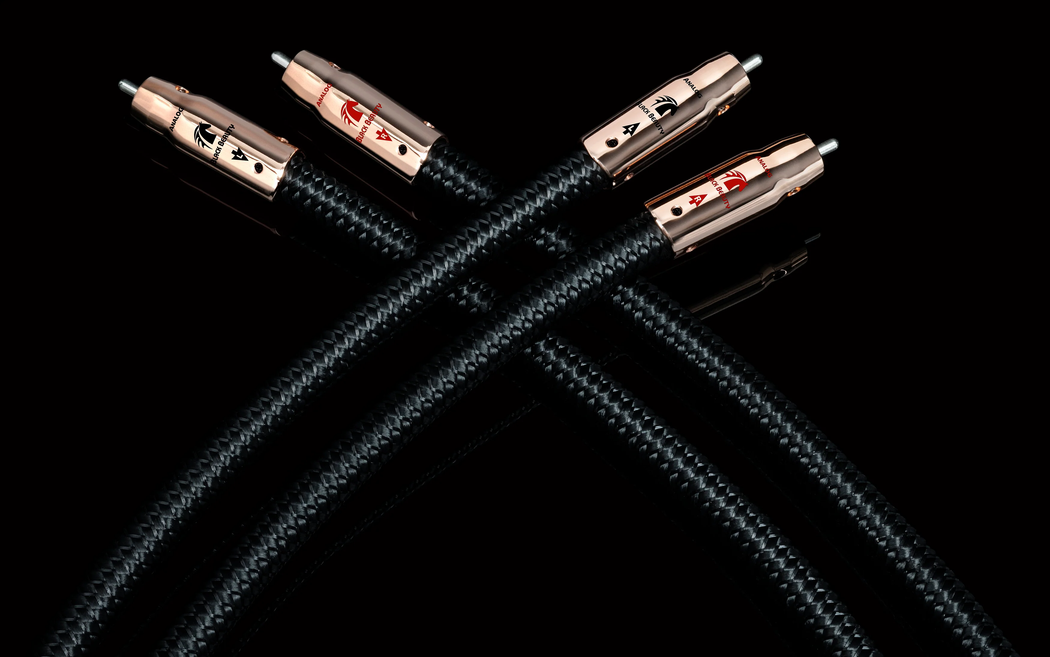 Audioquest Black Beauty - Câbles d'interconnexion RCA-RCA, zéro tech - Image 11