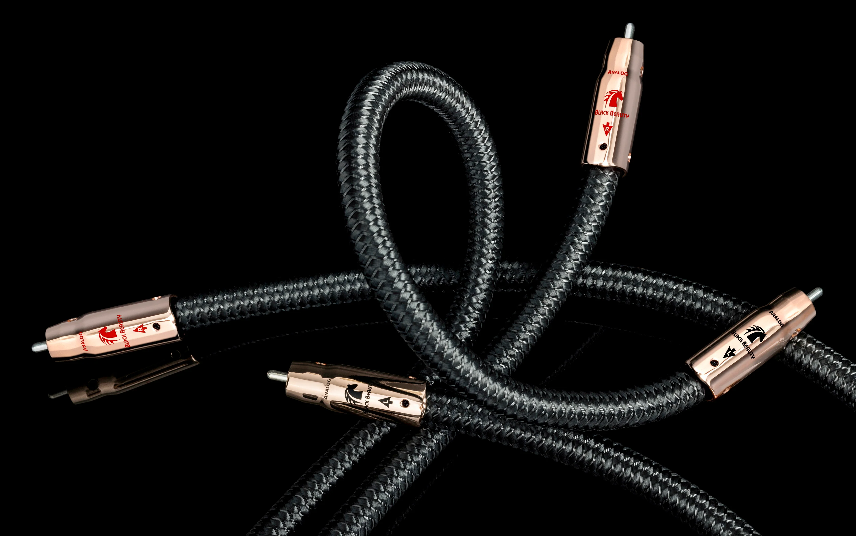 Audioquest Black Beauty - Câbles d'interconnexion RCA-RCA, zéro tech - Image 12