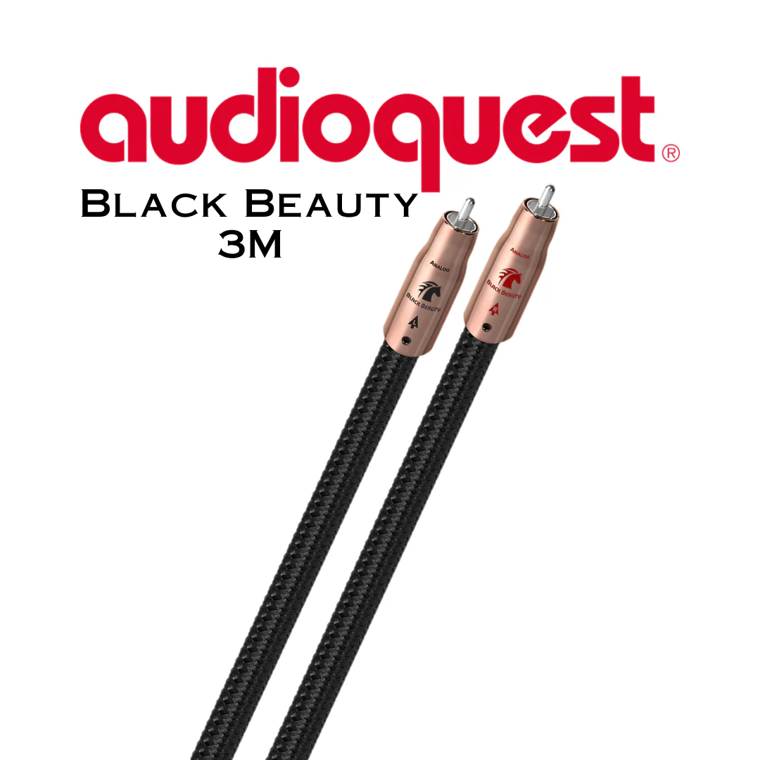 Audioquest Black Beauty - Câbles d'interconnexion RCA-RCA, zéro tech - Image 6