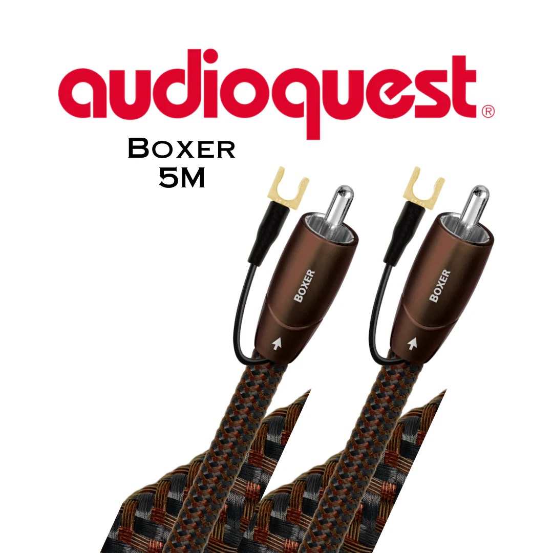 Audioquest Boxer - Câbles pour caisson de basses 1.25% d'argent - Image 4