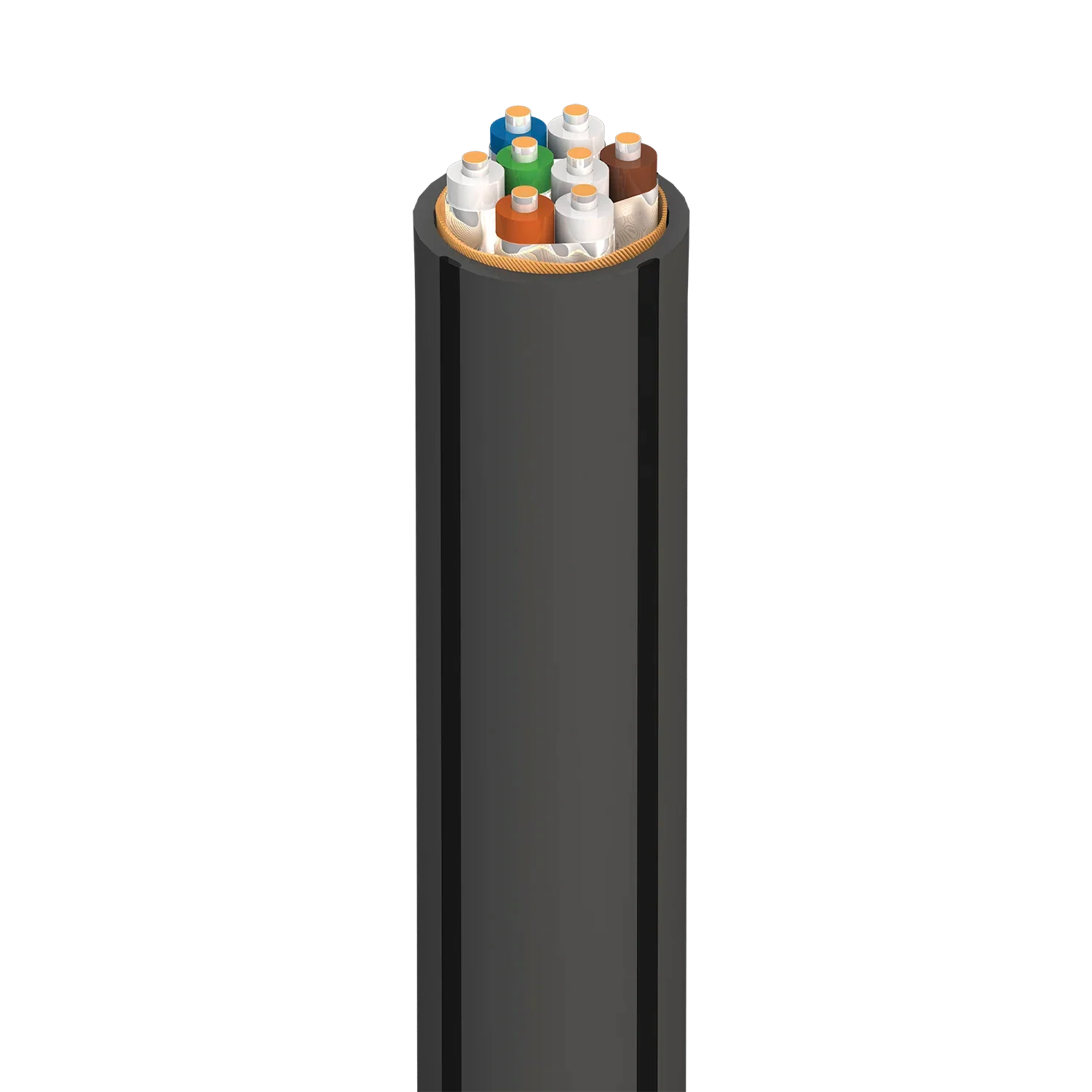 AudioQuest CAT 700 Carbon CL3/FT4 pour installation murale PVC (Au pied) - Image 2