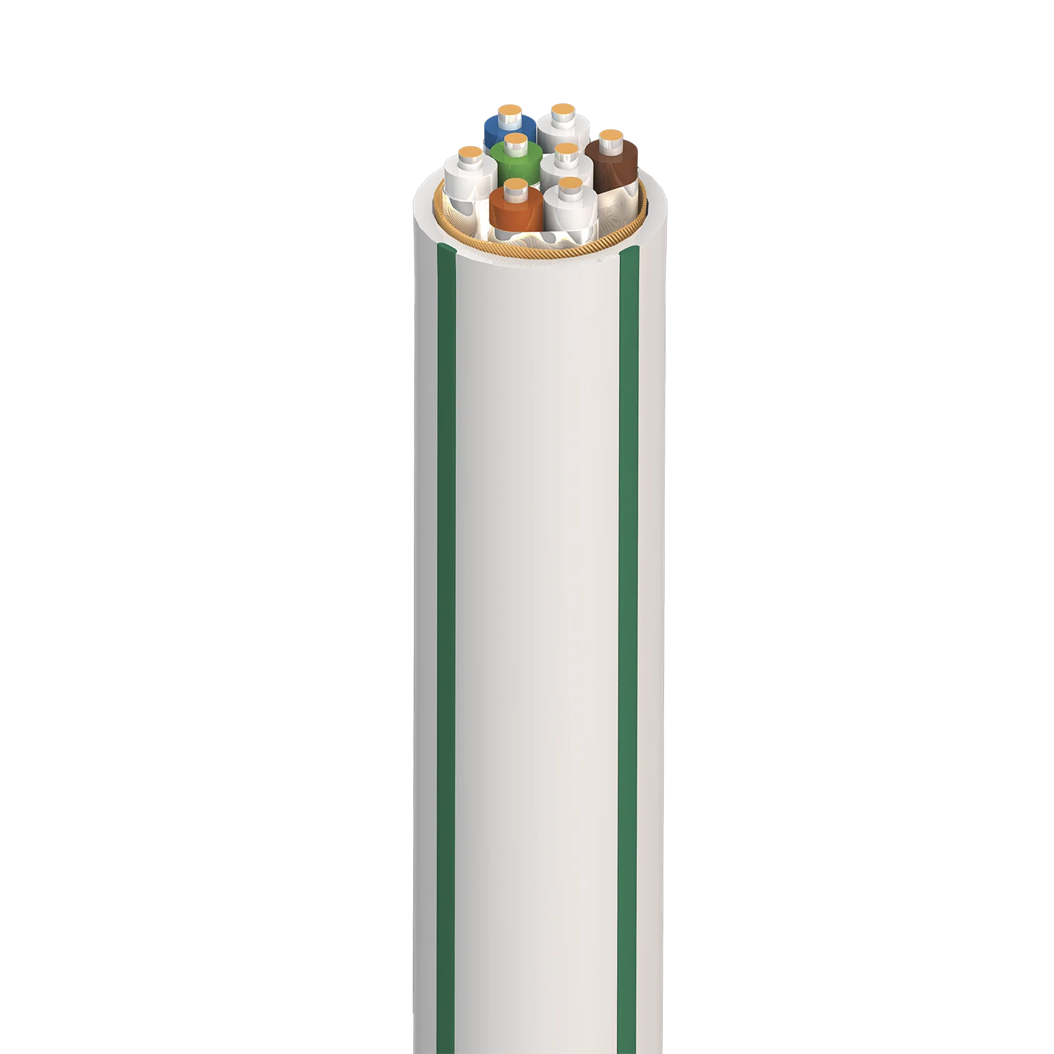 AudioQuest CAT 700 Forest CL3/FT4 en vrac, conçu pour une installation murale (au pied) - Image 2
