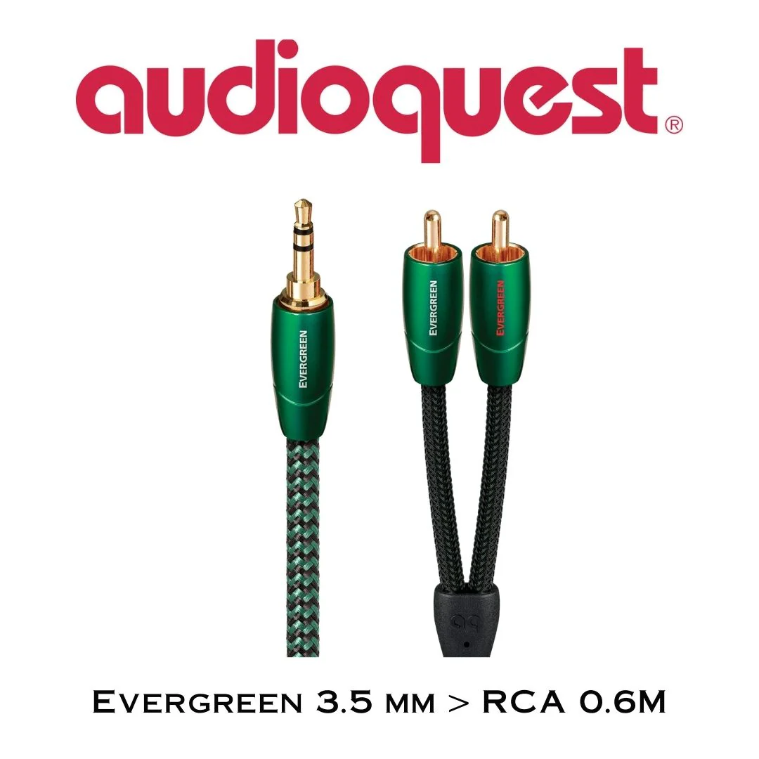 AudioQuest Evergreen | Câbles d'interconnexion stéréo 3.5mm mâle à RCA - Image 2
