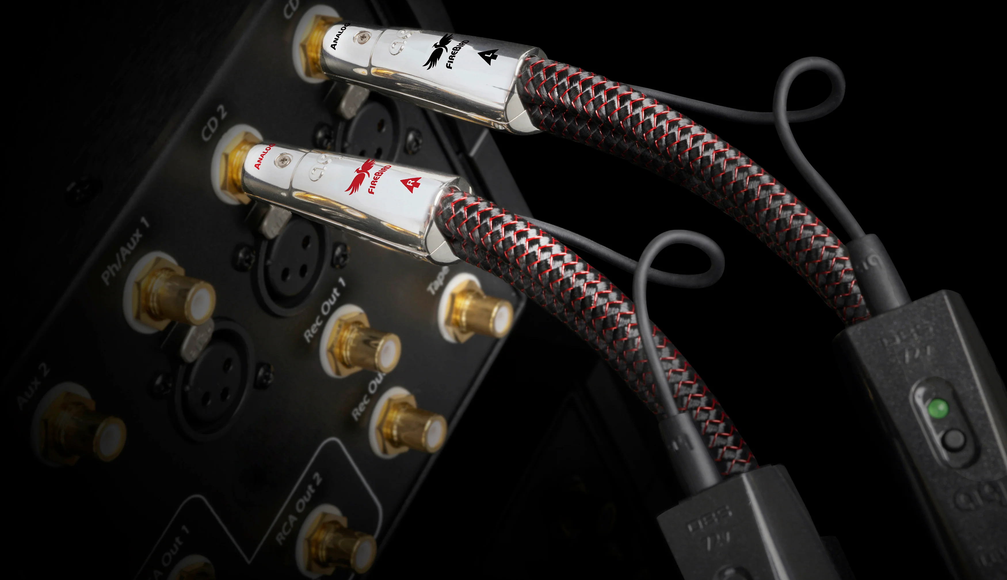Audioquest Firebird - Câble audio RCA-RCA ◉ 72 V DBS (paire) - Image 14