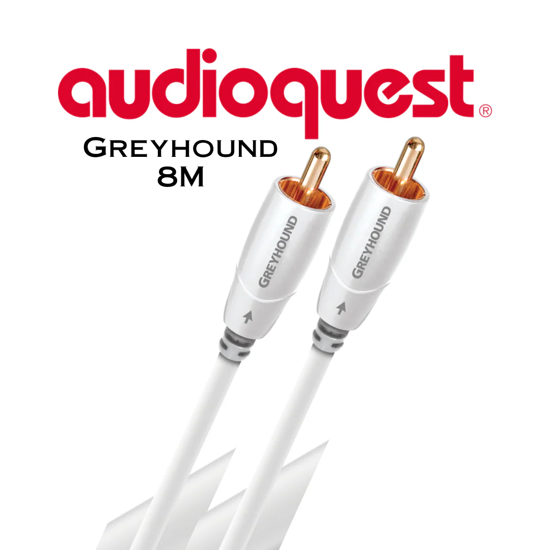 Audioquest Greyhound - Câble pour caisson de basses à 0.5% d'argent - Image 5
