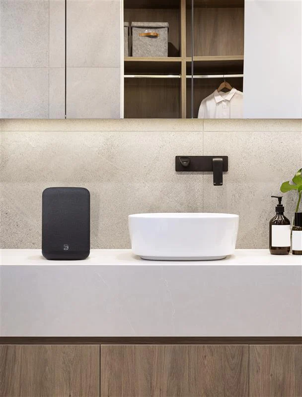 Bluesound PULSE FLEX | Enceinte Bluetooth compacte - Image 12