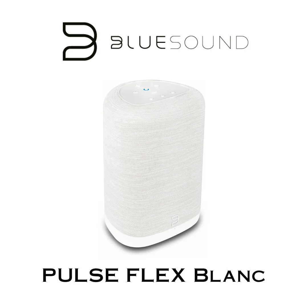Bluesound PULSE FLEX | Enceinte Bluetooth compacte - Image 2