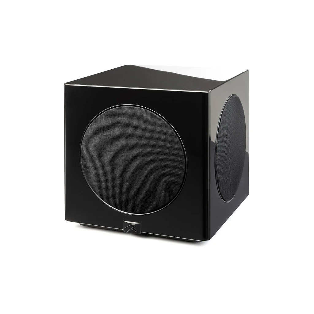Martin Logan Abyss 10 | Caisson de basses 1600Watts avec haut-parleur de graves 10'' - Image 5