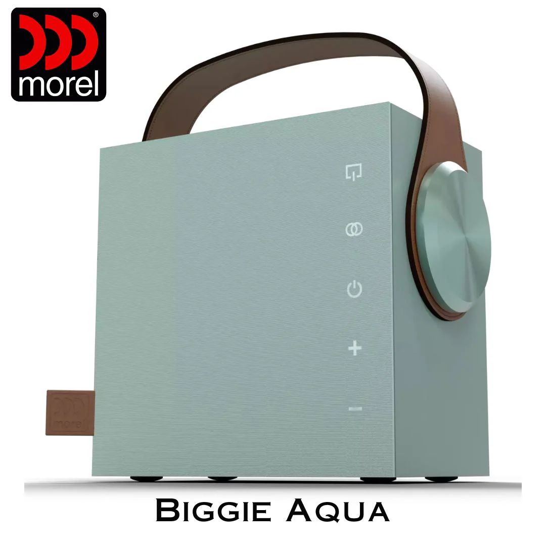 Enceinte portable Bluetooth 5.3 BLE Bass Reflex 2 voies 60 Watts - Image 10