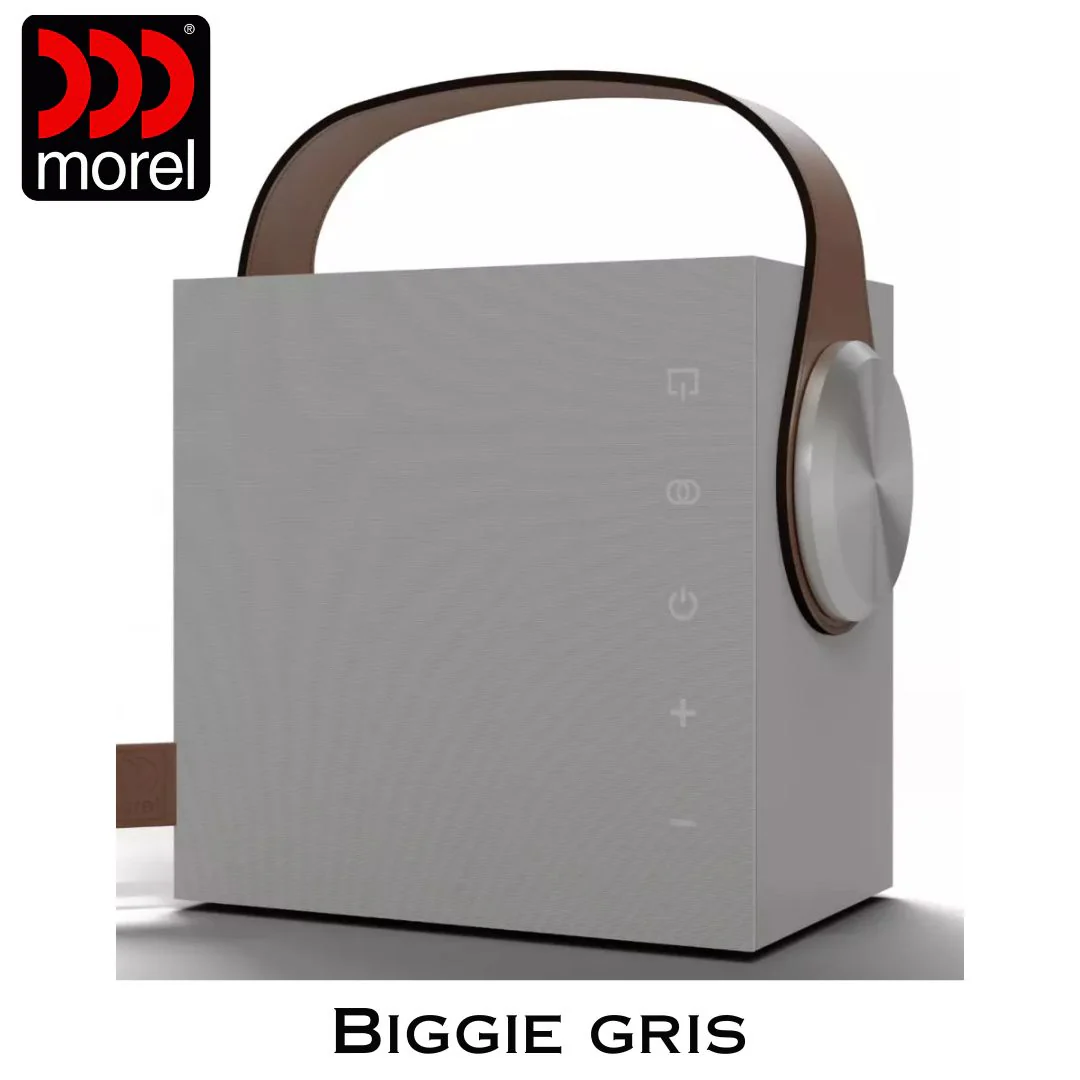 Enceinte portable Bluetooth 5.3 BLE Bass Reflex 2 voies 60 Watts - Image 2
