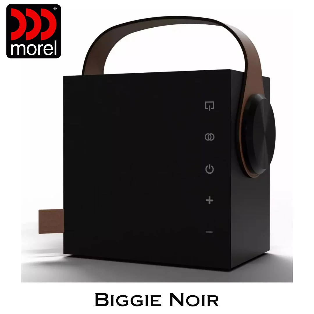 Enceinte portable Bluetooth 5.3 BLE Bass Reflex 2 voies 60 Watts - Image 4