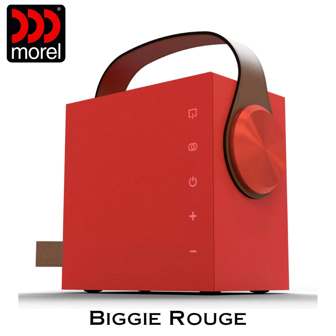 Enceinte portable Bluetooth 5.3 BLE Bass Reflex 2 voies 60 Watts - Image 5