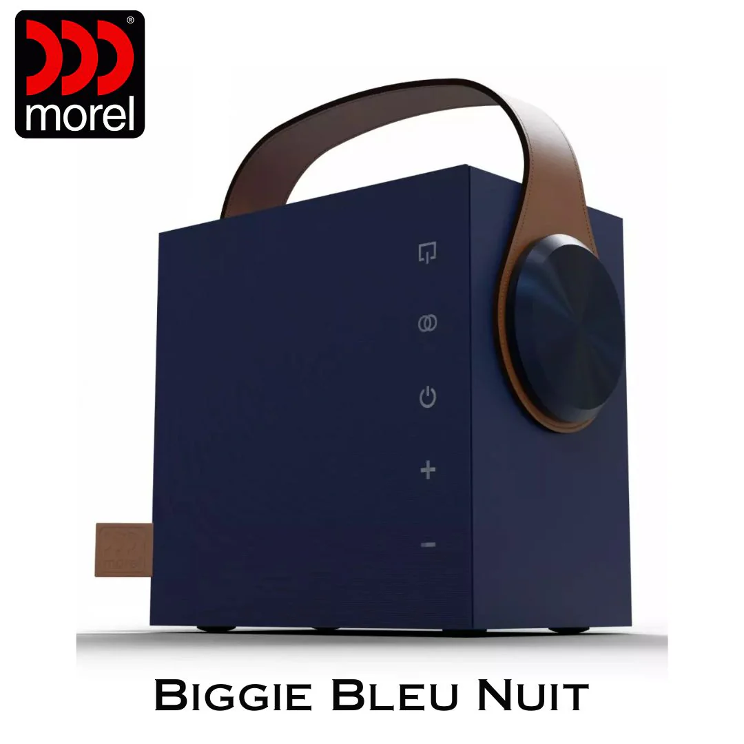 Enceinte portable Bluetooth 5.3 BLE Bass Reflex 2 voies 60 Watts - Image 6