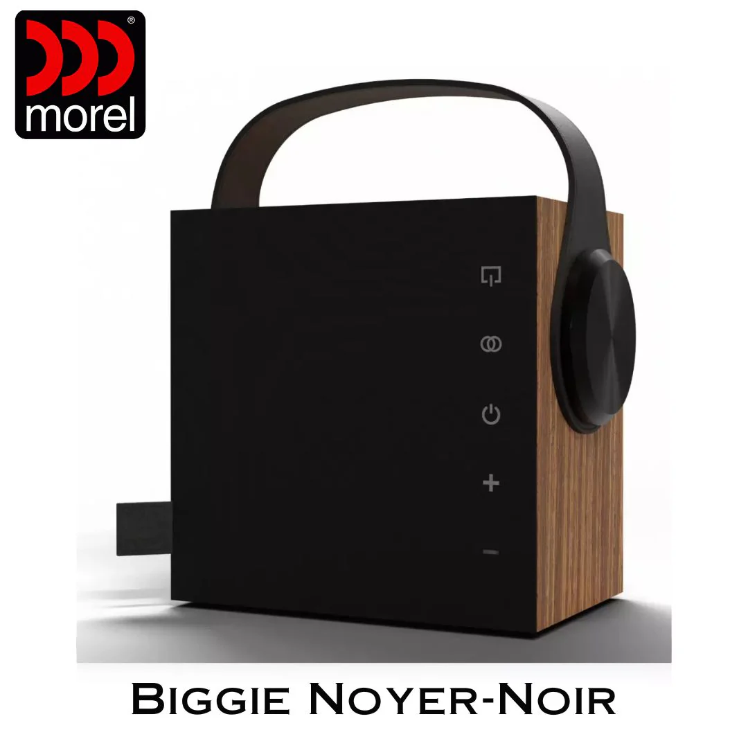 Enceinte portable Bluetooth 5.3 BLE Bass Reflex 2 voies 60 Watts - Image 7