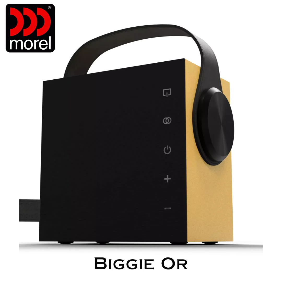 Enceinte portable Bluetooth 5.3 BLE Bass Reflex 2 voies 60 Watts - Image 8