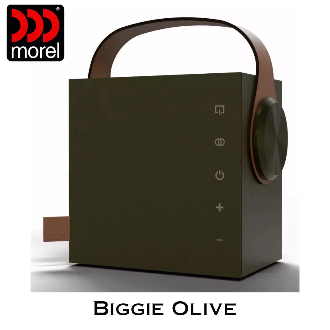 Enceinte portable Bluetooth 5.3 BLE Bass Reflex 2 voies 60 Watts - Image 9
