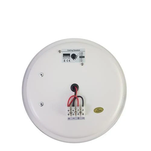 Haut-parleur de plafond 8" pour usage commercial - Image 3