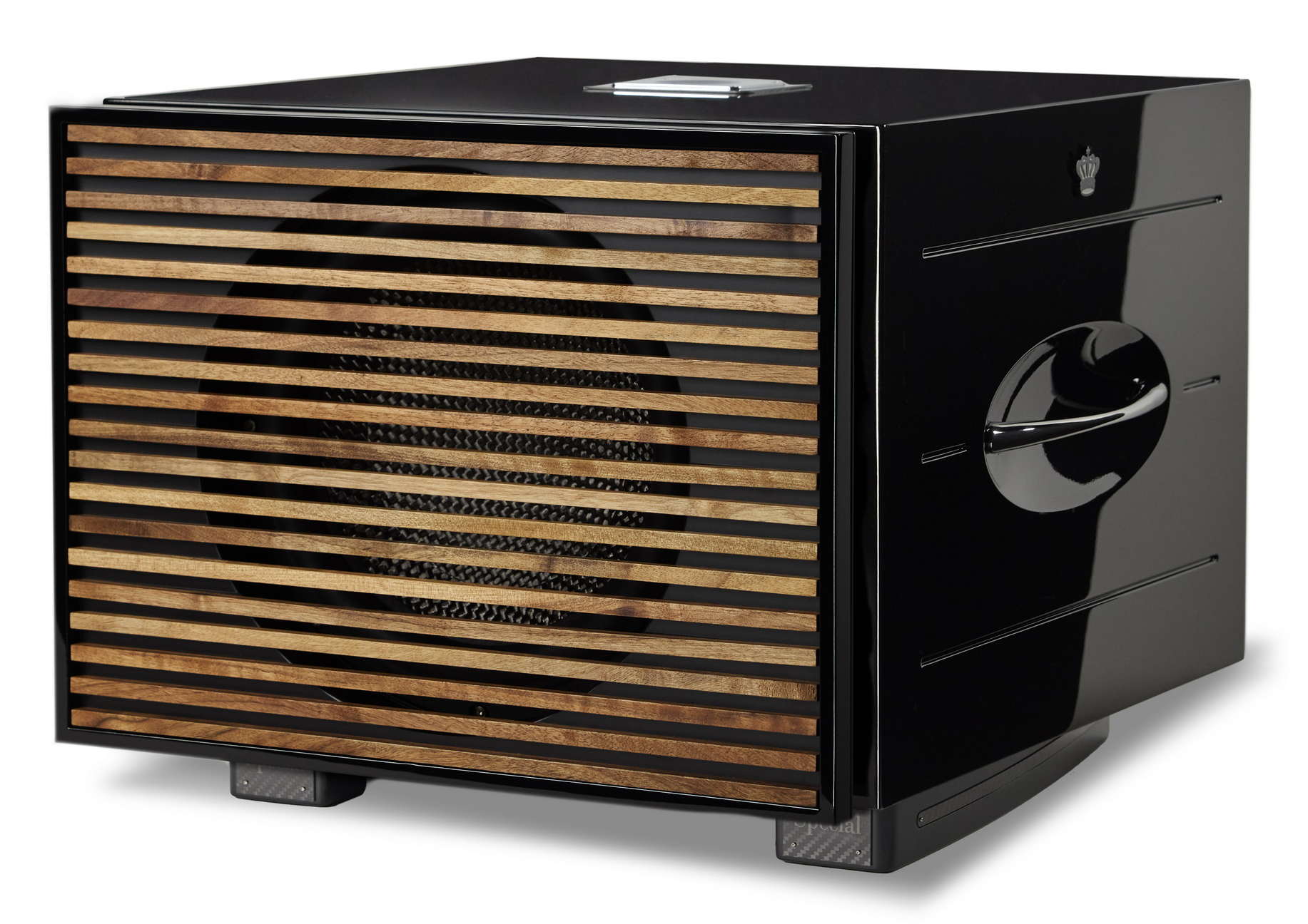 REL Carbon Special Black Label | Caisson de basses 900 Watts, HP de graves de 12'' - Image 5
