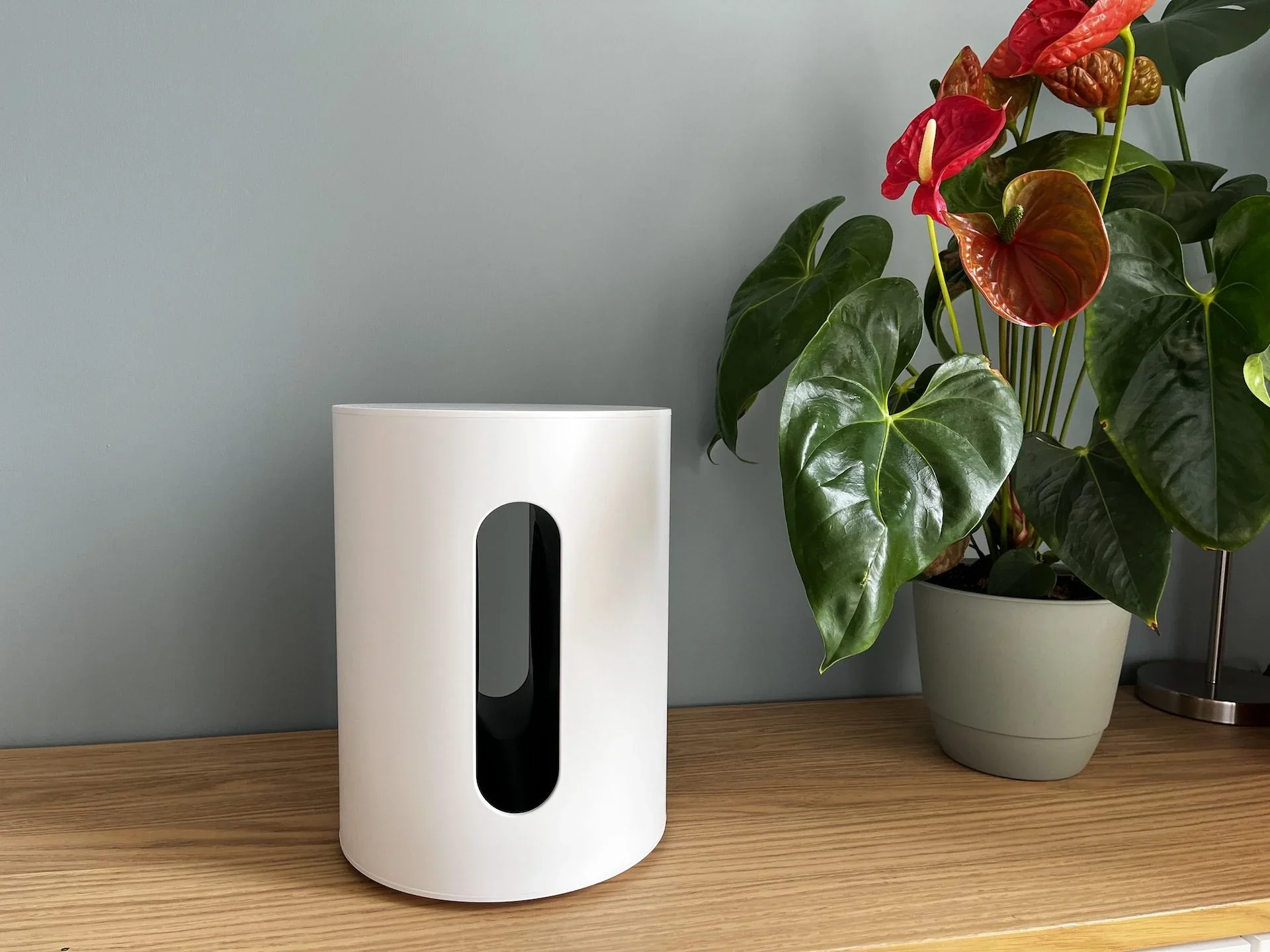Sonos Submini - Caisson de basses avec haut-parleur de graves 6.5'' - 9''x 12'' - Image 8