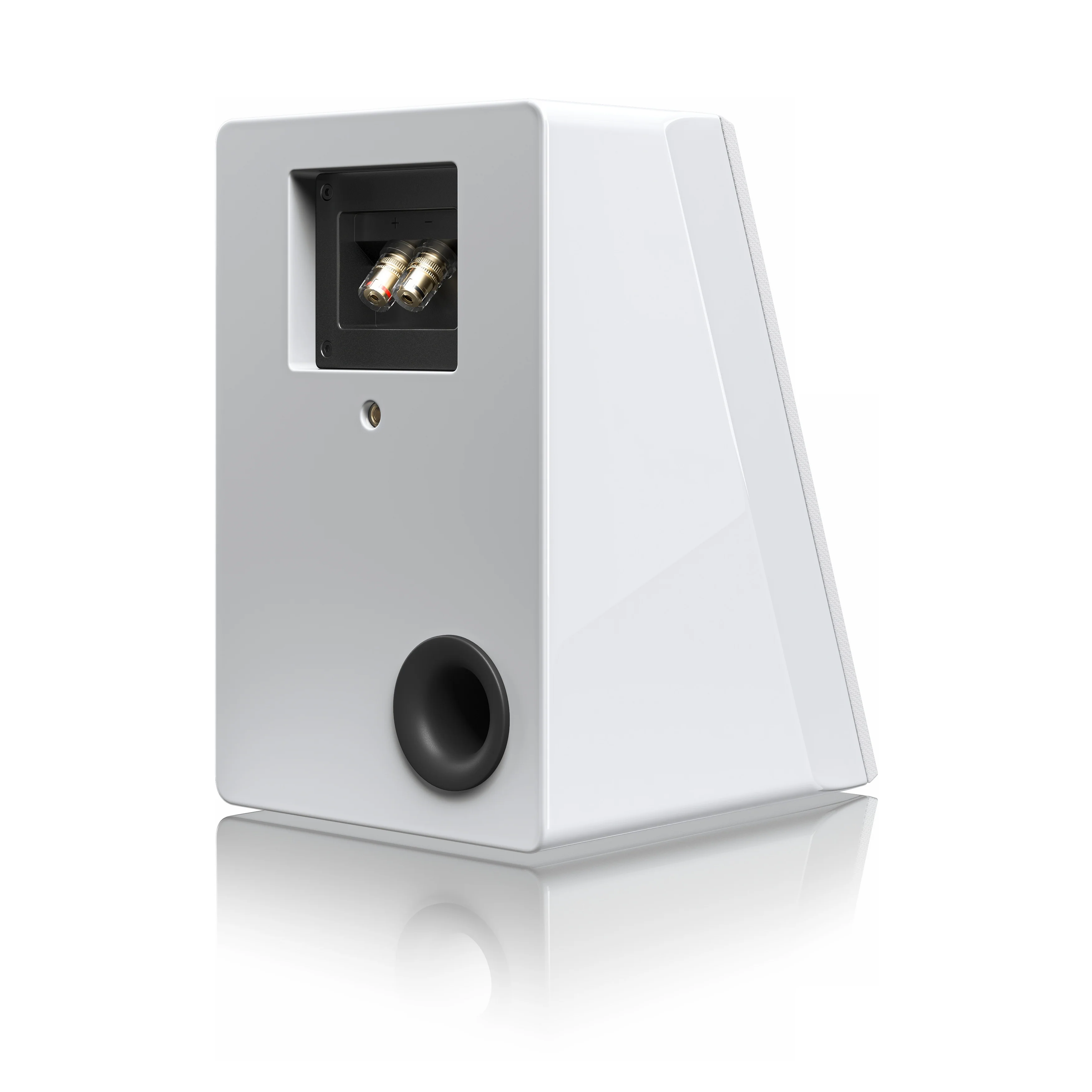 SVS Ultra Evolution Elevation - Enceintes surround - Image 14