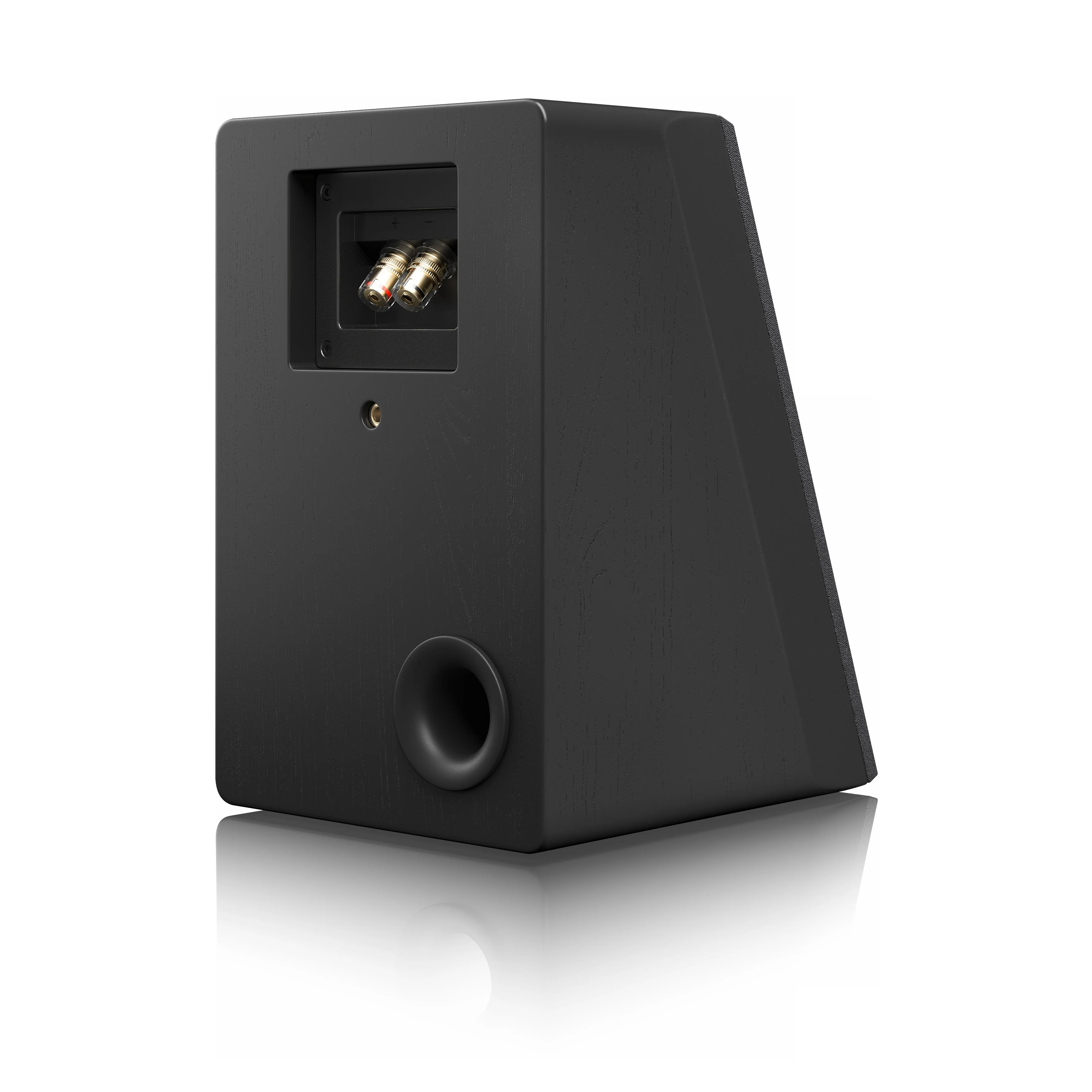 SVS Ultra Evolution Elevation - Enceintes surround - Image 15