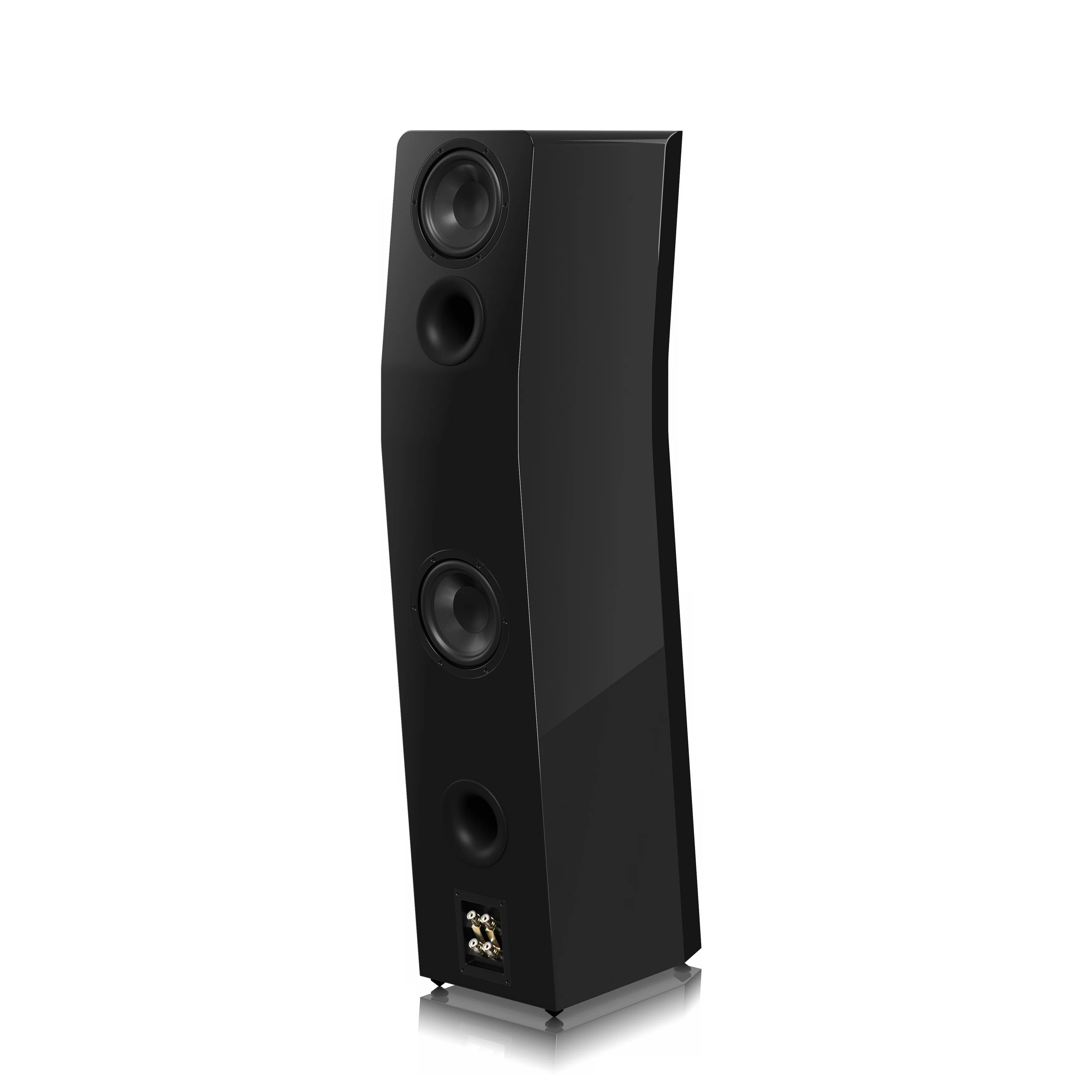 SVS Ultra Evolution Titan - Enceintes colonne - Image 7