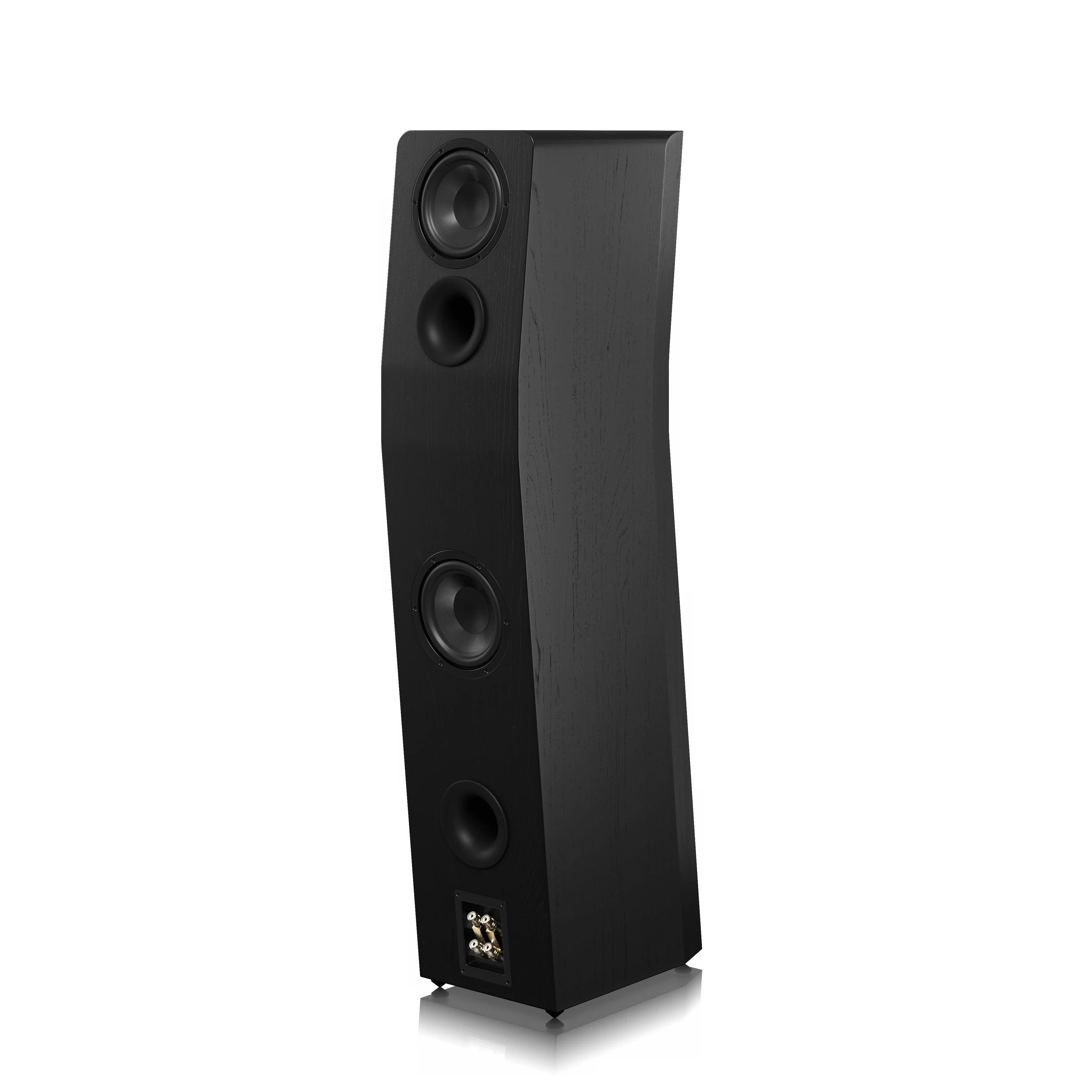 SVS Ultra Evolution Titan - Enceintes colonne - Image 8