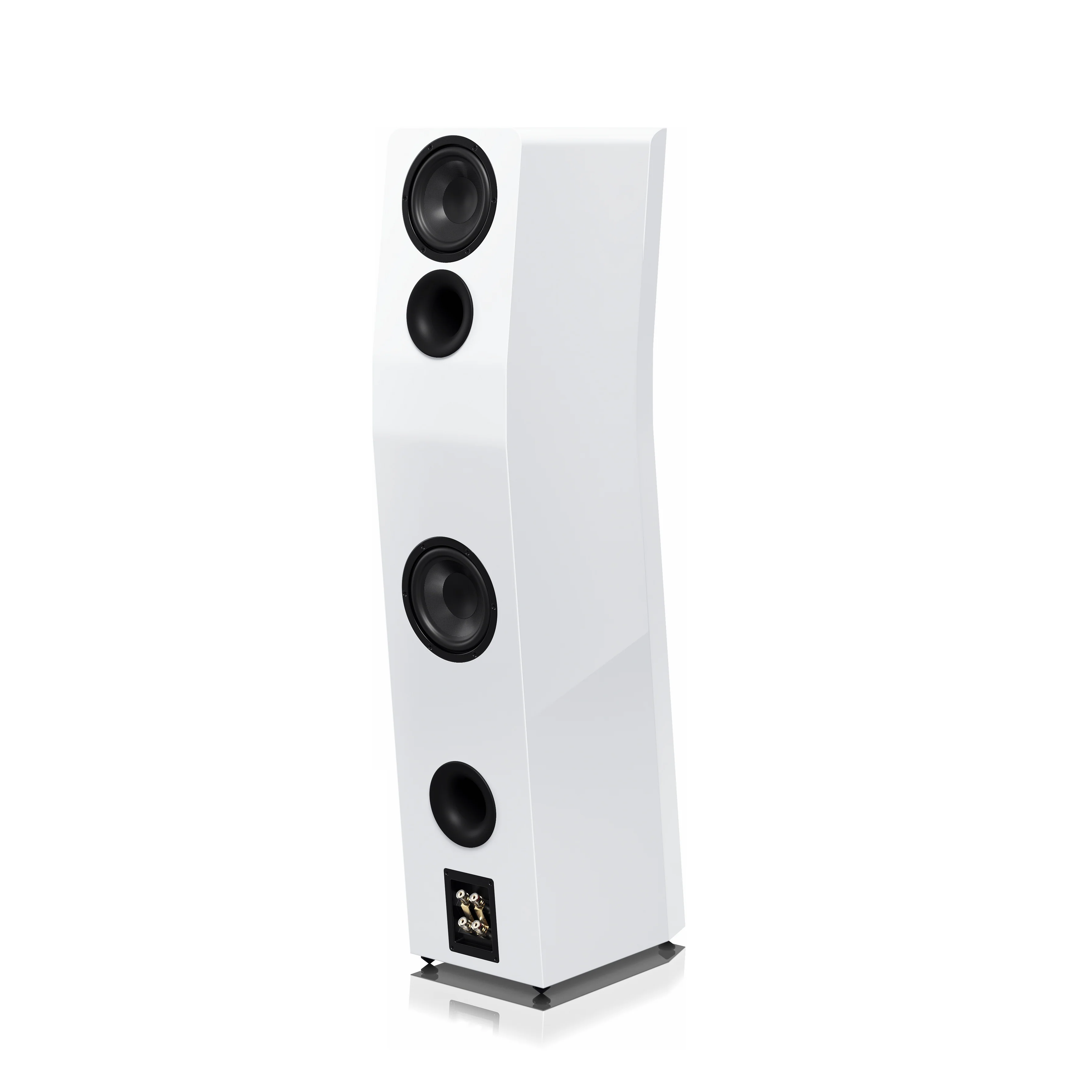 SVS Ultra Evolution Titan - Enceintes colonne - Image 9