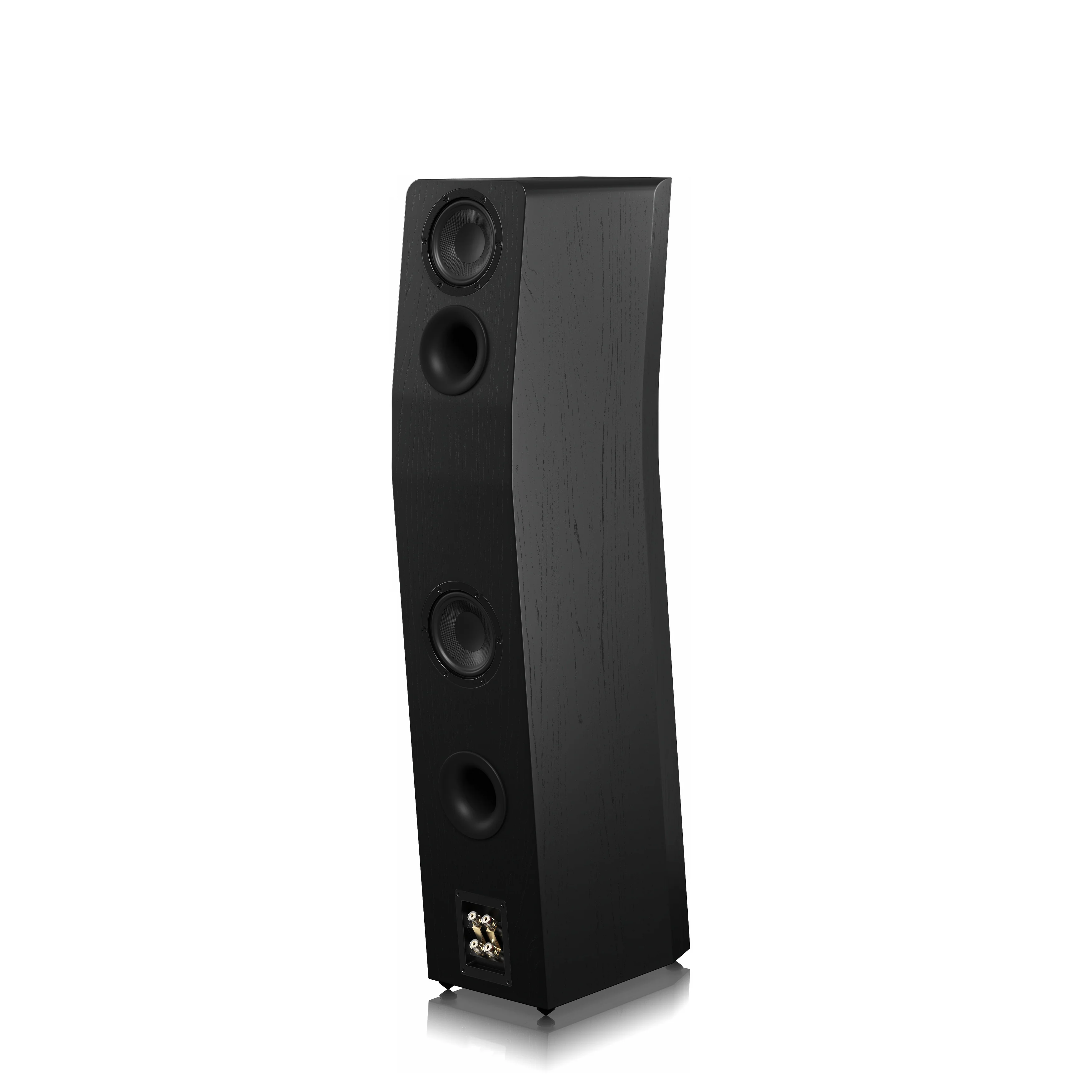 SVS Ultra Evolution Tower - Enceintes colonne - Image 9