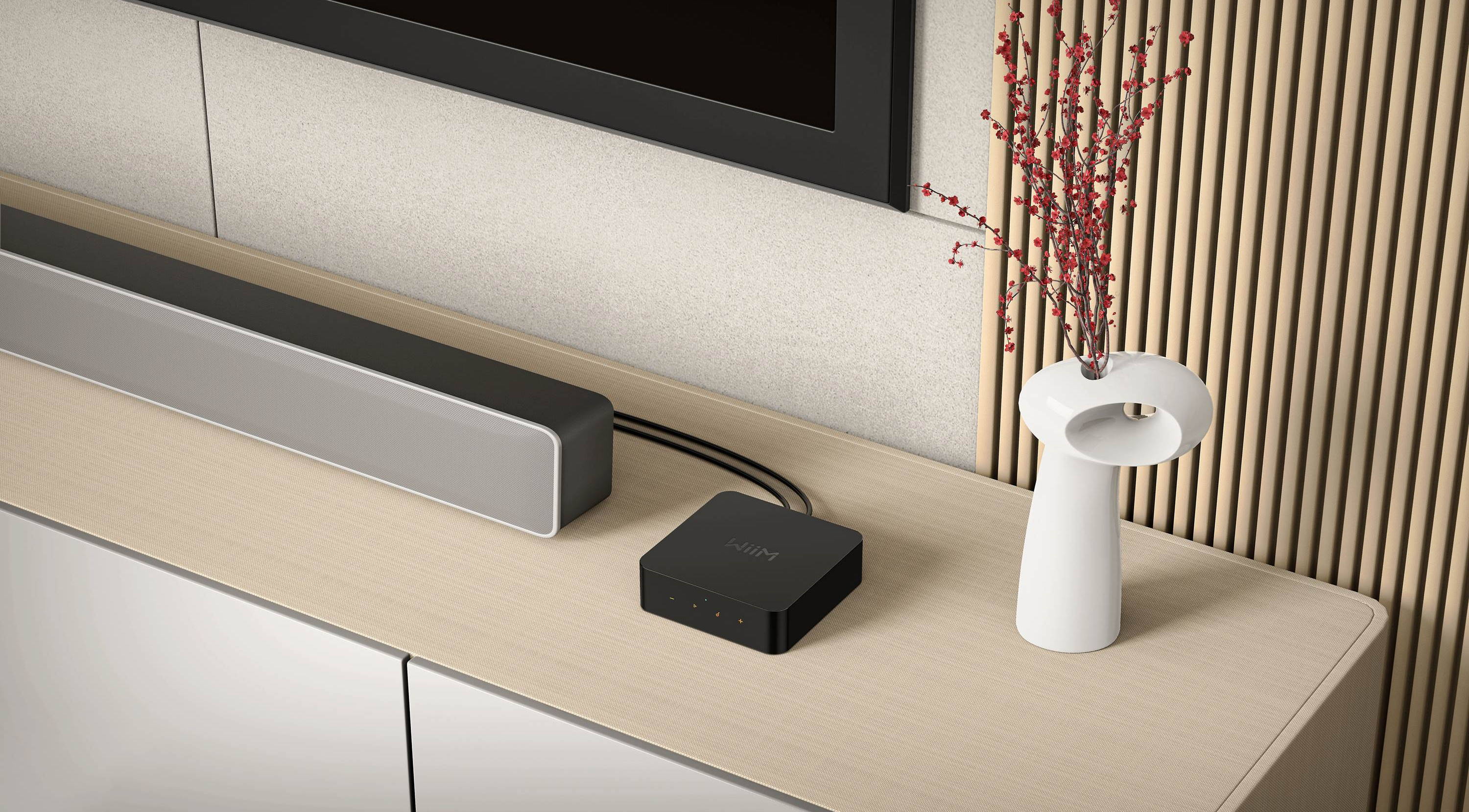 WiiM WIIM Pro - Lecteur réseau, préamp avec Wi-Fi et Bluetooth - Image 7