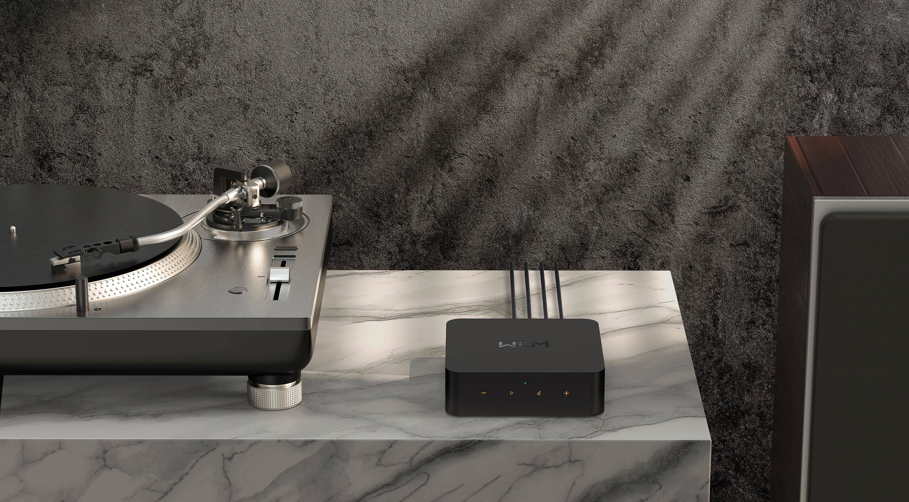 WiiM WIIM Pro - Lecteur réseau, préamp avec Wi-Fi et Bluetooth - Image 8