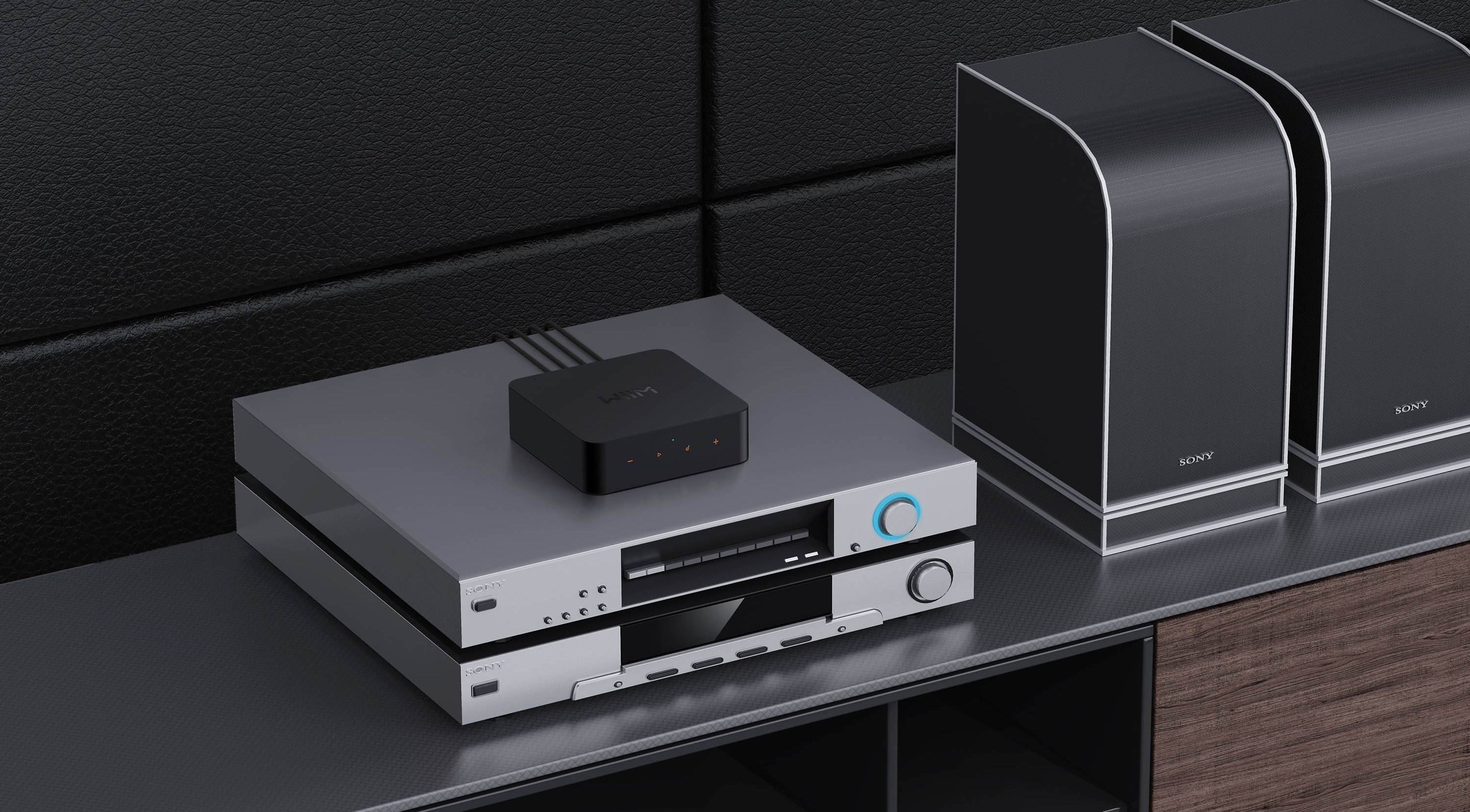 WiiM WIIM Pro - Lecteur réseau, préamp avec Wi-Fi et Bluetooth - Image 9
