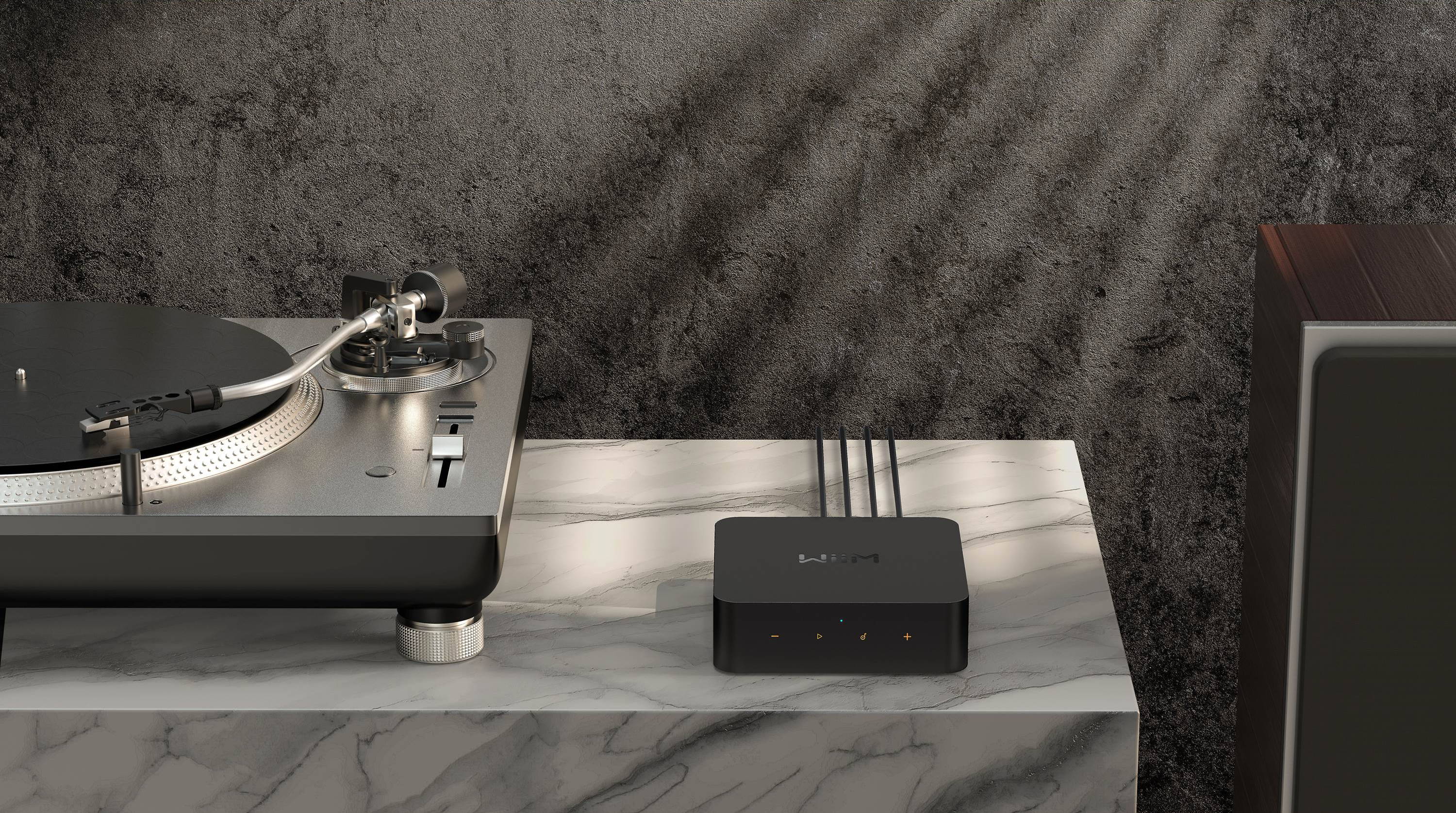 WiiM ProPlus - Lecteur réseau, préampli numérique, Wi-Fi, Bluetooth - Image 8